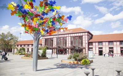 INFOS PRATIQUES CONGRÈS 2026